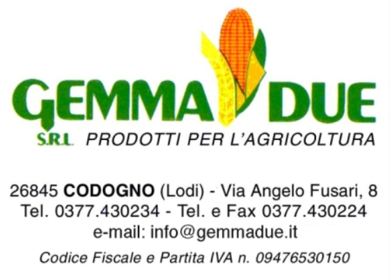 GEMMA DUE SRL